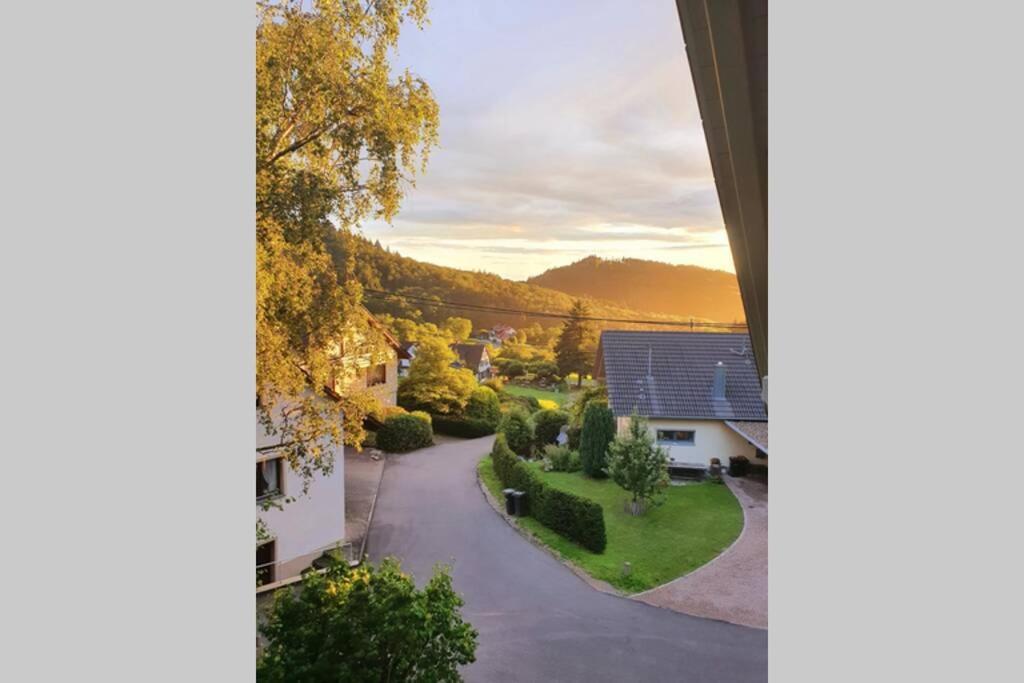 Ferienwohnung Am Musbach In Badenweiler-Sehringen Εξωτερικό φωτογραφία