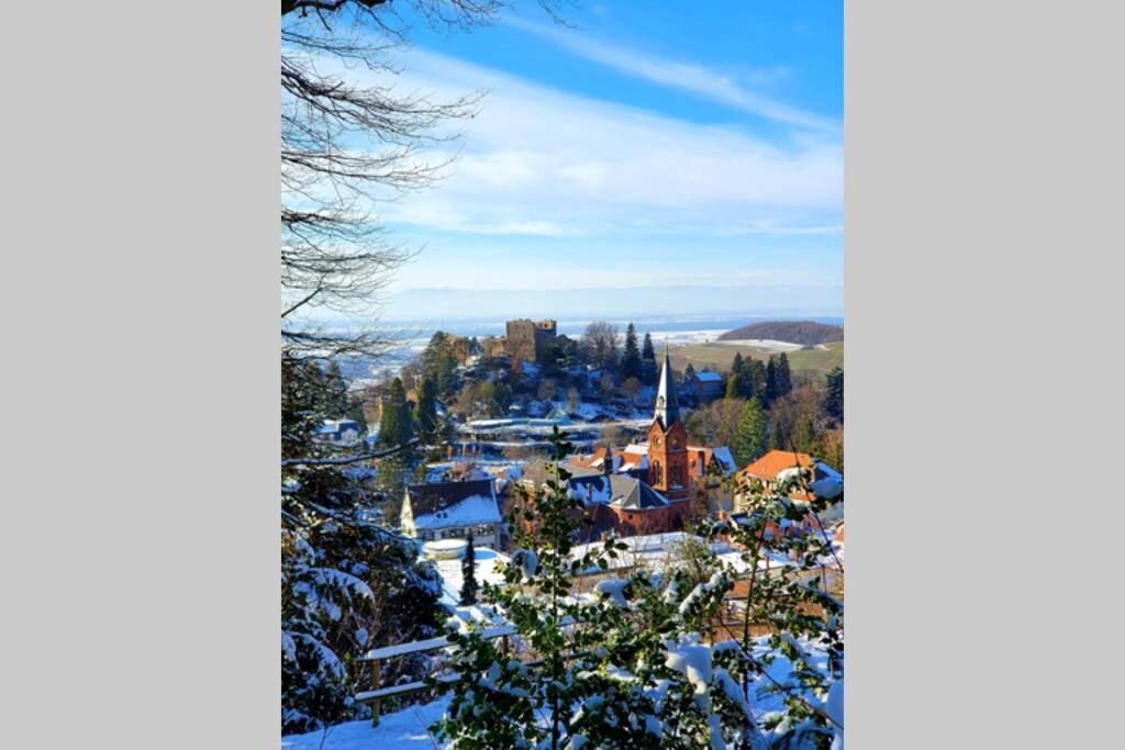 Ferienwohnung Am Musbach In Badenweiler-Sehringen Εξωτερικό φωτογραφία