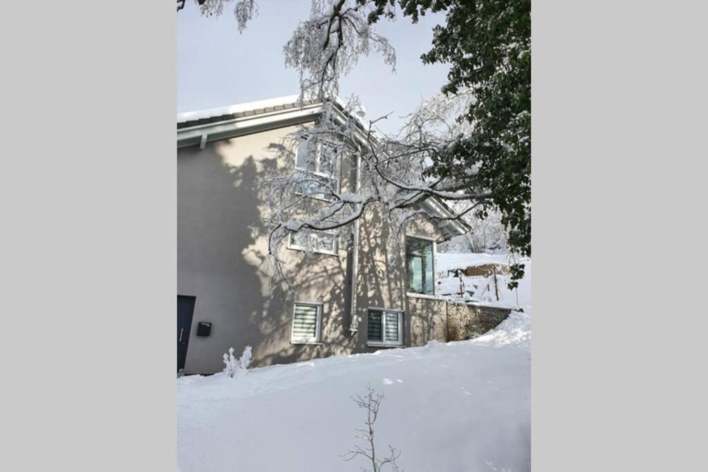 Ferienwohnung Am Musbach In Badenweiler-Sehringen Εξωτερικό φωτογραφία