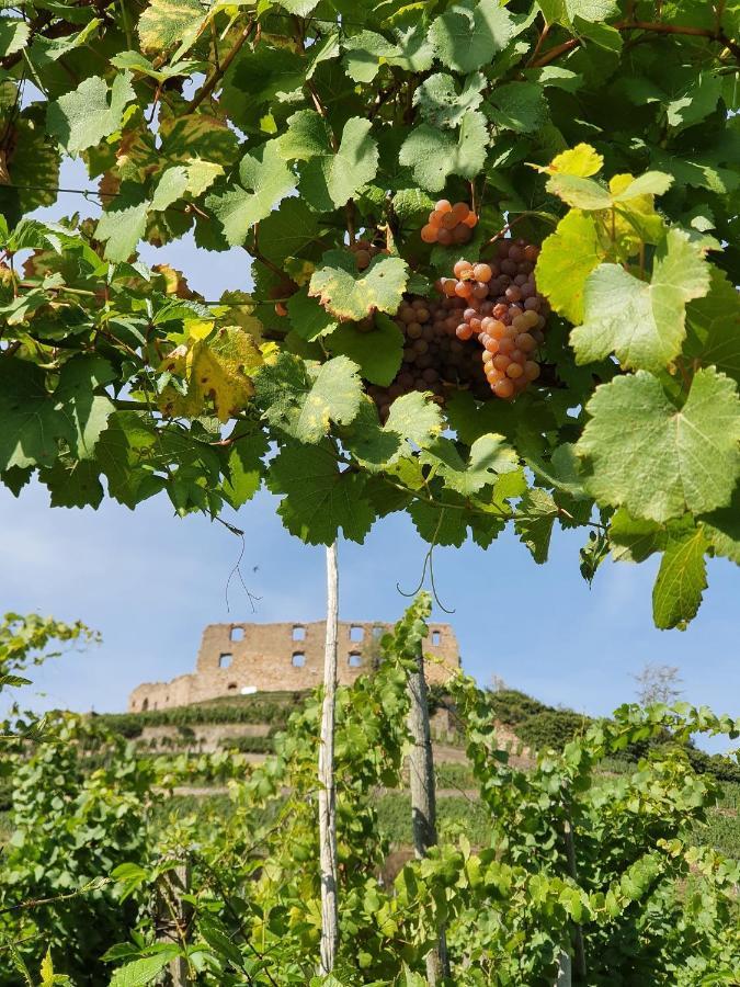 Ferienwohnung Am Musbach In Badenweiler-Sehringen Εξωτερικό φωτογραφία