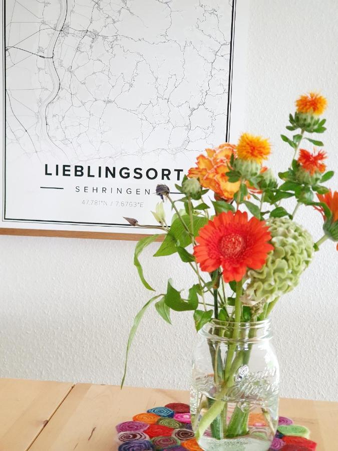 Ferienwohnung Am Musbach In Badenweiler-Sehringen Εξωτερικό φωτογραφία